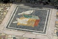 Mosaic in House of the Faun, Archeological Park Of Pompeii, Italy