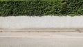 House fence consisting of a rough gray plaster wall and a hedge above. Porphyry sidewalk and paved street in front.