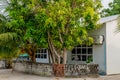 House with fence and garden in the yard on the street at the village at Landhoo island at Noonu atoll Royalty Free Stock Photo