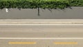 House fence made of gray plaster wall and hedge above. Concrete sidewalk and street in front Royalty Free Stock Photo