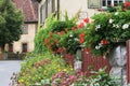 House with flowered fence Royalty Free Stock Photo