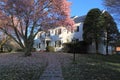 House with Flowering Tree