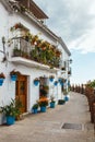 House with flowers in blue pots in Mijas, Spain