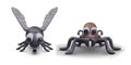 House fly and ant closeup. Set of household pests. Vector characters, front view Royalty Free Stock Photo