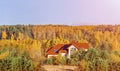 House in the forest in autumn, beautiful colors of the trees