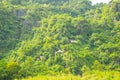 House on forest for transporting tourists to Phong Nha cave, Phong Nha - Ke Bang national park, Viet Nam. Royalty Free Stock Photo