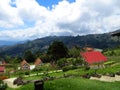 House and garden, Colonia Tovar Venezuela