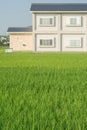 House on the grassland Royalty Free Stock Photo