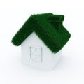 House with green grass roof. Royalty Free Stock Photo