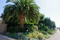 House with green lawn manicured frontyard garden in suburban residential neighborhood Royalty Free Stock Photo