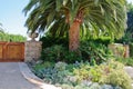 House with green lawn manicured frontyard garden in suburban residential neighborhood Royalty Free Stock Photo