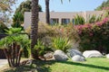 House with green lawn manicured frontyard garden in suburban residential neighborhood Royalty Free Stock Photo