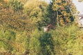 House hidden in autumn forest. Royalty Free Stock Photo