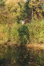 House hidden in autumn forest. Royalty Free Stock Photo