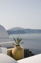 House hotel with plant over sea santorini Royalty Free Stock Photo