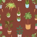 House indoor vector plants and nature homemade flowers in pot