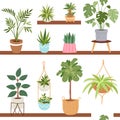 House indoor vector plants and nature homemade flowers in pot interior decoration houseplant natural tree flowerpot Royalty Free Stock Photo