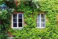 House with ivy Royalty Free Stock Photo