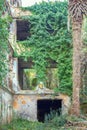 House with ivy, abandoned manor with park