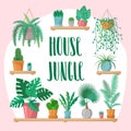 House jungle phrase with home plants collection in flat style, modern calligraphy sign and indoor plants in colorful Royalty Free Stock Photo