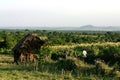 House in Kenya