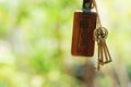 House key with home keyring in keyhole with smooth blur green garden background, property concept Royalty Free Stock Photo