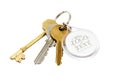 House keys blank tab Royalty Free Stock Photo