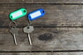 House keys with color tag keyring with green garden background, property concept, copy space Royalty Free Stock Photo