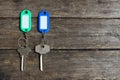 House keys with color tag keyring with green garden background, property concept, copy space Royalty Free Stock Photo