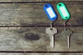 House keys with color tag keyring with green garden background, property concept, copy space Royalty Free Stock Photo