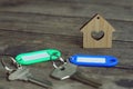 House keys with color tag keyring with green garden background, property concept, copy space Royalty Free Stock Photo