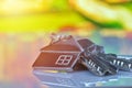 House keys with house figure on desk, out of focus background