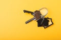 House keys with a keychain in the shape of a house. Royalty Free Stock Photo