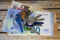 House keys over euros banknotes. Rental prices concept.