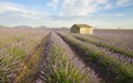 House in a lavender field