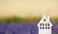 House, in Lavender field. Provence.