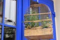 House for a little bird. Parrot cage.