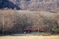 A house located at pine tree forest in Takayama, Japan Royalty Free Stock Photo