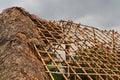 House made of bamboo and dried palm, cuetzalan puebla II