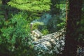 A house made of chimney smoke on a background of a green forest Royalty Free Stock Photo