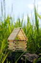 House Made of Matches Royalty Free Stock Photo