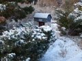 House Mailbox Snow Hedge