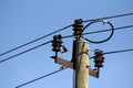 House Martins on wires