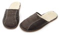 House men`s slippers. Royalty Free Stock Photo