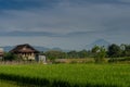a house in the middle of rice fields with a beautiful and fres mountain background
