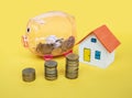 House model and coin money on yellow background