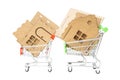 House model kit parts in two shopping trolleys on white Royalty Free Stock Photo