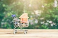 House model in mini shopping cart with stack of coins money in the Cart for residential investment. Royalty Free Stock Photo