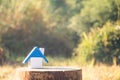 A house model on wooden with blur green nature Royalty Free Stock Photo