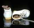 House Mouse, mus musculus standing in Baby`s Shoe Royalty Free Stock Photo